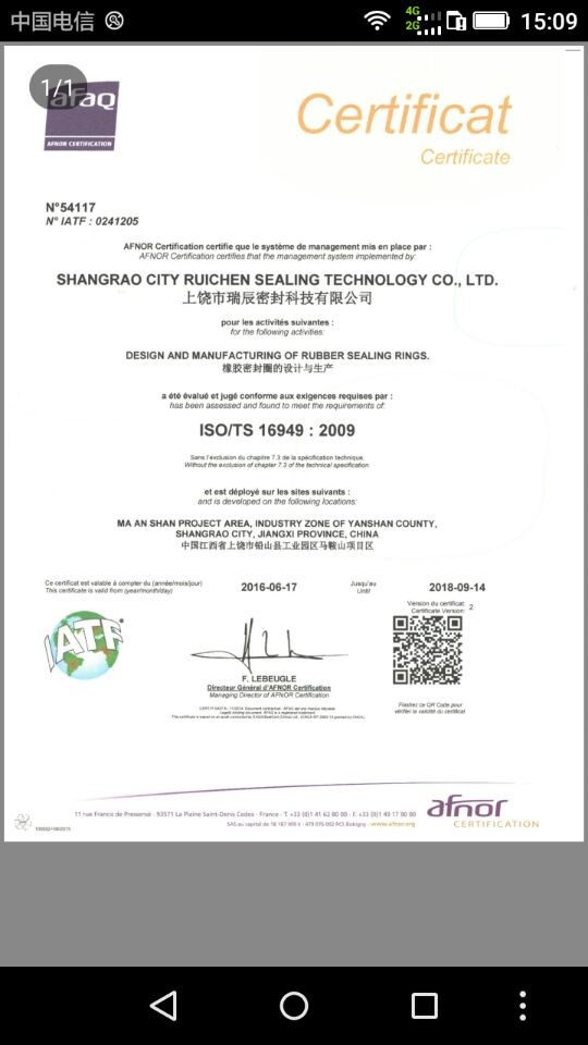 China Dongguan Ruichen Sealing Co., Ltd. Zertifizierungen