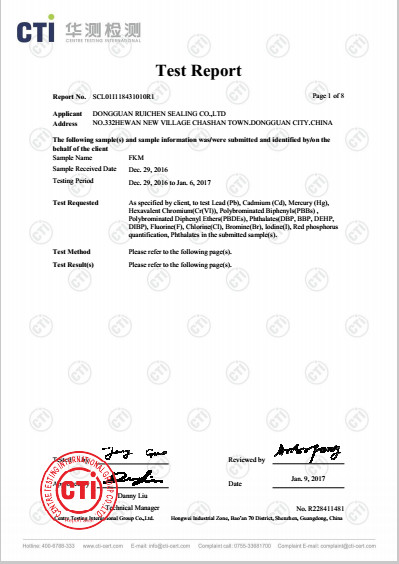 China Dongguan Ruichen Sealing Co., Ltd. Zertifizierungen